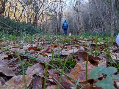 I pellegrini cammineranno ancora per 16 chilometri prima di arrivare a Martina Franca, all�interno della �Riserva naturale regionale orientata� nel Bosco delle Pianelle, tra lecci, roverelle e corbezzoli
